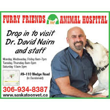 Maybe you would like to learn more about one of these? Surrender A Dog New Hope Dog Rescue