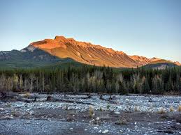 By logging in to livejournal using a. Forgetmenot Ridge Hike Bragg Creek 10adventures