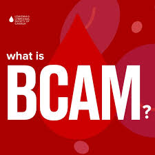 Image result for bCAM