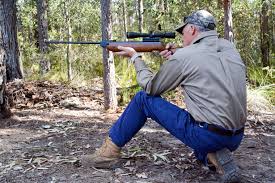 General household pest control, lawn spraying, termite control. Bullseye Pest Services Shooting Pests Is Fast Effective Efficient