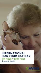 😻❤️ Today is #InternationalHugYourCatDay... but only celebrate with their  cooperation! If you're in the market, for some cat hugs, here are a few  things to consider before selecting a pet cat:, ❓ What ...