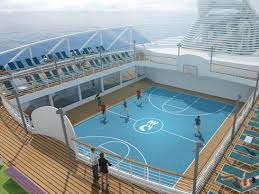 One stop shop to fulfill all equipment needs, artificial turf, batting cages and beyond. Next Princess Cruises Ship To Have Baseball Batting Cage Princess Cruises Cruisecrazies