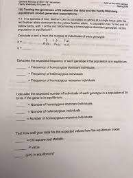 Hardy weinberg problem set p2 + 2pq + q2 = 1 and p + q = 1 p = frequency of the dominant allele in the population q = frequency of the recessive allele in the population p2 = percentage of homozygous dominant individuals q2 = percentage of homozygous recessive individuals Solved General Biology 2 Bio 182 Laboratory Hardy Weinb Chegg Com