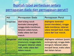 Sistem pernapasan pada manusia, pernapasan merupakan hal yang sangat perlu sekali dalam kehidupan manusia. Sistem Pernafasan Manusia Ppt Download