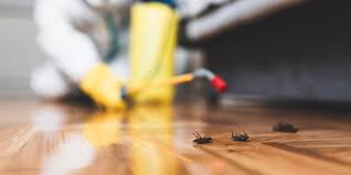 Columbus, ga exterminating services, including pest control, termite control, wildlife removal, & lawn care. Orkin Vs Terminix 2021 This Old House
