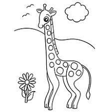 Giraffe coloring pages heart coloring pages cute coloring pages coloring pages for kids coloring sheets free coloring giraffe colors giraffe print giraffe head. Top 20 Free Printable Giraffe Coloring Pages Online