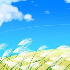 赵照- 当你老了- 新编版專輯- KKBOX