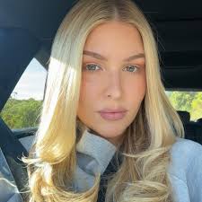 Did the car that hit the person