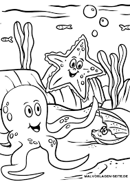 Malvorlagen eine marine muschel alte und moderne kunst muscheln meer mobile bastelbogen seeigel igel. Malvorlage Seestern Tiere Kostenlose Ausmalbilder