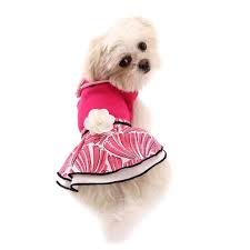 See more ideas about interior design, interior, house interior. Our Latest Posts About Mi Ki Dogs Puppies Royal T Mi Kis