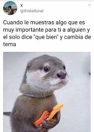 Pin De Gladys En Dalia Memes Divertidos Meme Divertido Meme Gracioso