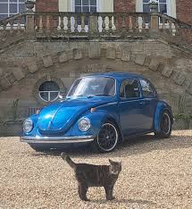 Image result for Alaska Blue 1973 Audi