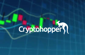 This is the type of income which can completely transform the lives of most people. Cryptohopper Automatic Cryptocurrency Trader Bot For Profits