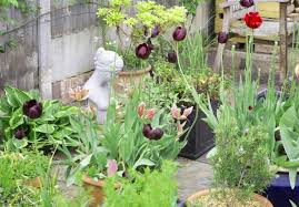 Get your ray padula sprinklers, hose nozzles, watering wands, and garden hoses, today! 8 Steps To The Long Thin Garden Of Your Dreams The Middle Sized Garden Gardening Blog