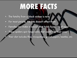 Shape of the web is not very pretty, but it is durable. Black Widows By Meghan Moten