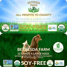Chickens are designed to eat mice, snakes, bugs, worms, and insects. Bethesda Farm Soy Free Eggs A Good Option For Soy Allergies Bethesda Farm