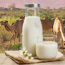 For me powdered milk is the way to go. Organic Camel Milk Powder From Kazakhland Buy Full Cream Milk Powder Spray Dried Milk Milk Powder Brands Product On Alibaba Com