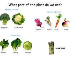What flower is most given on this day? We Eat Plants Miss Matthews Kindergarten Class