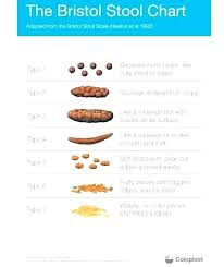 76 prototypal christmas bristol stool chart