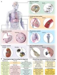 Bioelectronic Implantable Devices for Physiological Signal Recording and  Closed‐Loop Neuromodulation - Oh - 2024 - Advanced Functional Materials -  Wiley Online Library