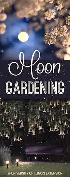Stiftung Warentest Mond Garten Garten Nacht Garten