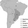 Guaraní (volk), ein indianisches volk in südamerika guaraní (sprache), eine in paraguay und bolivien gesprochene indigene sprache paraguayischer guaraní. 1