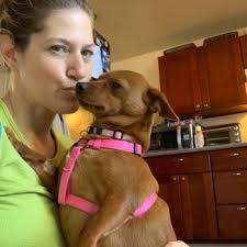 WAG TIME DOG TRAINING