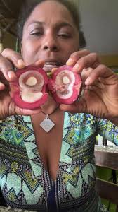 Detox Smoothie recipe 1 cup aloe Vera 1/2 cup coconut water 1/2 cup coconut  meat 1 key lime. Blend until smooth Feast