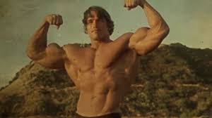 What Arnold Schwarzeneggers Classic Bodybuilding Diet
