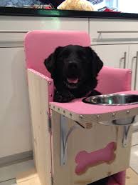 bailey chair for dogs with canine megaesophagus www baileychairs4dogs com bailey chair for dogs bailey chairs flea treatment