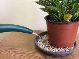 Creating A Pebble Tray Plant Tray Houseplants Indoor Plants