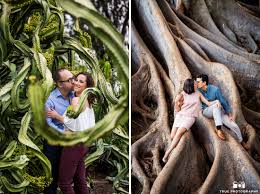 Cactus garden is a cactus/succulent garden located in san diego, california. Cactus Garden Balboa Park Engagement San Diego Photographytrue Photography