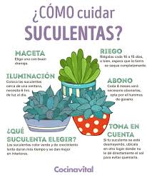 Cactaceae, las cactáceas, son conocidas en conjunto como cactos, cactus o cacti. Cactus Love Home Facebook