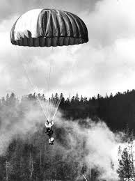 History | National Interagency Fire Center