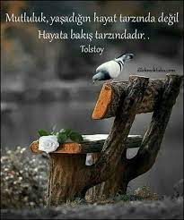 resimlisozler anlamlisozler ozlusozler alintisozler asksozleri guzelsozler dilekmektubu ozlusozler resimlisozler a resimler renk fotografciligi hayat