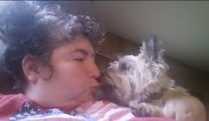 Loss of beloved dog Gia due to misdiagnosis