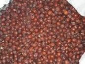 نتیجه تصویری برای خرید عناب مرغوب