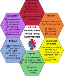 Image result for Right Heart Failure