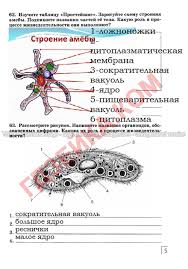 учебник по окружающему миру 3 класс 1 часть плешаков Onlajn Uchebnik 8 Klass Vaulina Internet Security Grammar Practice The Force Unleashed