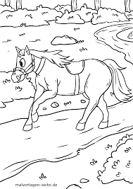 We did not find results for: Erza Malvorlage Coloring And Drawing