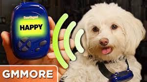 It seems like a complex technology and you may think how this is possible. Testing The Bow Lingual Bark Translator Youtube