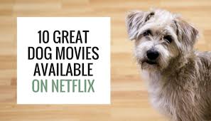 The sheer volume of films on netflix — and the site's less than ideal interface — can make finding a genuinely great movie there a difficult task. 10 Great Dog Movies Available On Netflix Puppy Leaks