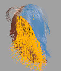 This townsquare interactive website is no longer available. Xgen Interactive Grooming Linear Curves Not Affecting All Hair Autodesk Community Maya