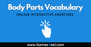 These are the pictures of human body parts. Parts Of The Body Vocabulary Exercises Games4esl