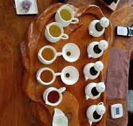 The amazing tea tasting at Zealong Tea Estate in Hamilton ...