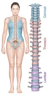 News, activities, services, work, transport, business, leisure, maps, innovation and much more. Low Back Pain Overview Redlands Loma Linda Highland Bones And Spine Surgery Inc