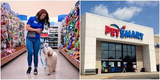 A path 4 paws dog rescue. Petsmart National Adoption Weekend 2020 Is Next Weekend Every Dog Gets A Sweater Narcity