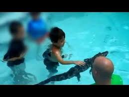 Alligator Birthday Pool Parties Kids Birthday Party Ideas Reach New Depths In Florida Youtube
