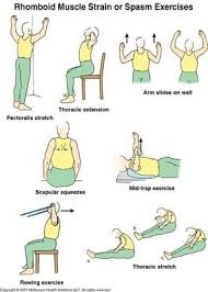 Pin On Physical Therapy Related