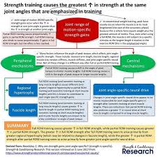 Strength Gains Are Joint Range Of Motion Rom Specific For Example Full Rom Squat Training Produces Greater Gains In Squats Strength Training Squat Workout